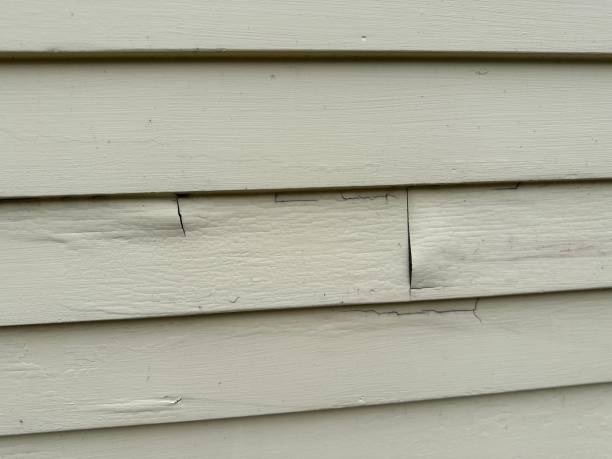 Best Engineered Wood Siding  in Riley, KS